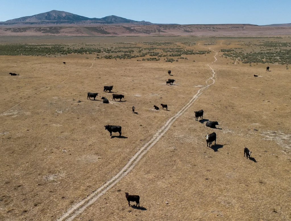Kevin O’Leary believes his 10,000-acre data center can be ‘beautiful’